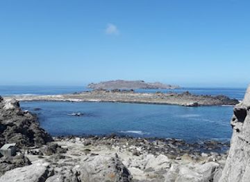 chile/coquimbo-region/attraction/ecoturismo-la-serena