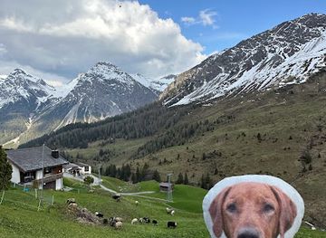 switzerland/graubunden/attraction/benbentheridgeback-s-bench