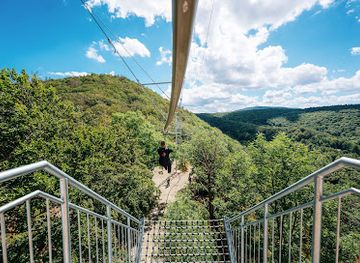 germany/harz-national-park/attraction/baumschwebebahn-bad-harzburg