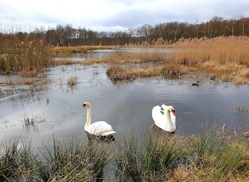 belgium/campine-kempen/attraction/het-domein-bokrijk