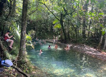 australia/cape-tribulation/attraction/tony-s-tropical-tours