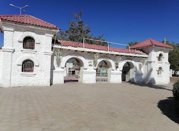 chile/tarapaca-region/attraction/parque-el-loa