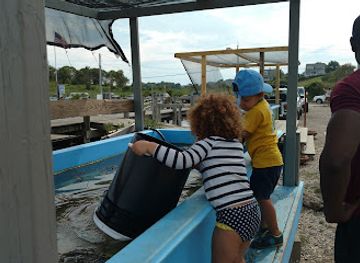 rhode-island/block-island/attraction/block-island-maritime-institute