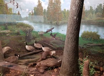 illinois/lincoln-home-national-historic-site/attraction/illinois-state-museum