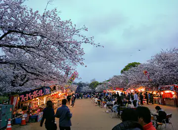 Maizuru Park - Sannomaru Plaza