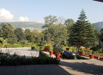 pakistan/abbottabad/attraction/old-cedar-tree