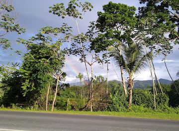 trinidad-and-tobago/siparia/attraction/turtle-village-trust