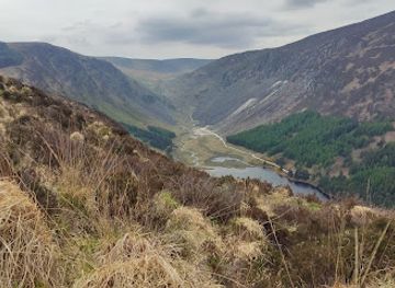 ireland/leinster/attraction/the-spinc
