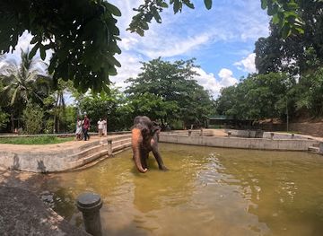 sri-lanka/kandy-district/attraction/athgala