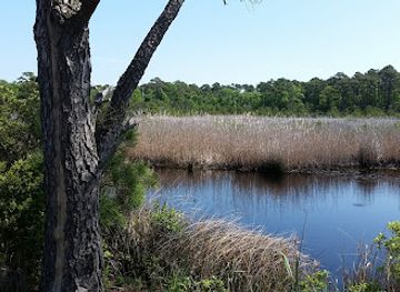virginia/great-dismal-swamp-national-wildlife-refuge/attraction/false-cape-state-park
