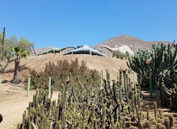 california/colorado-desert/attraction/jurupa-mountains-discovery-center