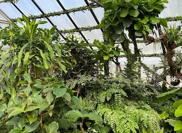 latvia/kurzeme/attraction/taurinu-maja-butterfly-house