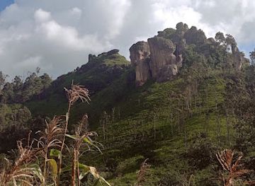 cameroon/bamenda/attraction/rock-pillars