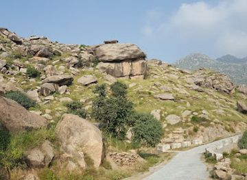 pakistan/gandhara/attraction/dir-museum