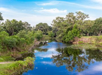 florida/clearwater/attraction/kapok-park
