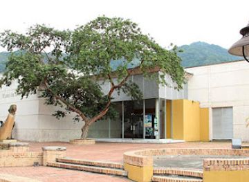 colombia/tolima-department/attraction/museo-de-arte-del-tolima