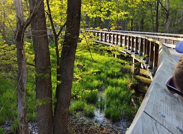 Wildwood Preserve Metropark