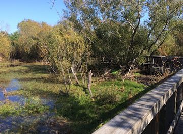 texas/port-aransas/attraction/joan-and-scott-holt-paradise-pond