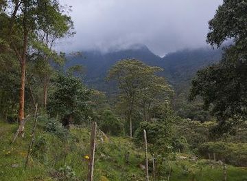 colombia/bogota/attraction/los-tunos-natural-park