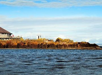 united-kingdom/east-lothian/attraction/scottish-seabird-centre