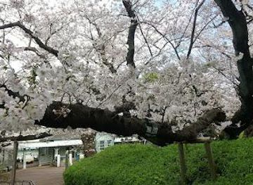 japan/tokyo/attraction/yamate-park