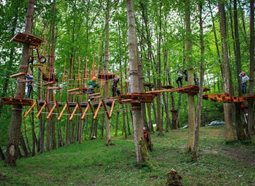 poland/warmia/attraction/rope-park-wiewiora