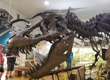 south-dakota/black-hills/attraction/black-hills-institute-of-geological-research