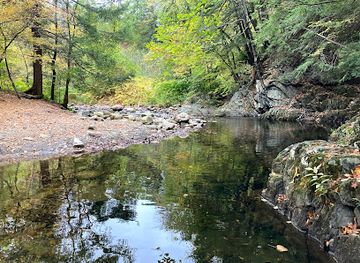 vermont/brattleboro/attraction/fort-dummer-state-park