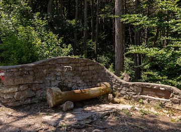 austria/vienna-woods/attraction/hans-riffer-quelle