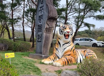 south-korea/north-chungcheong-province/attraction/cheongju-zoo