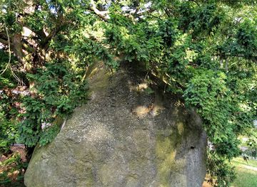 poland/szczecin/attraction/glaz-niemierzynski-i-grupa-starych-cisow