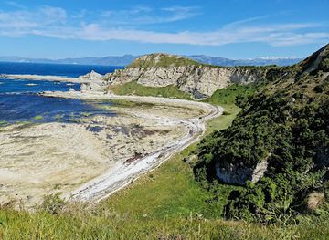 new-zealand/kaikoura/attraction/dr-james-a-mills