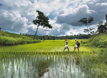 india/northeast-india/attraction/umswai-valley-the-ancient-tiwa-hills