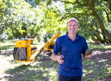 Avocado Tours