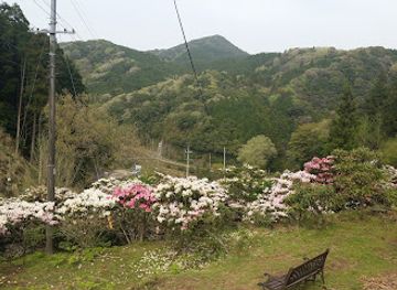 japan/nagato/attraction/tawarayama-rhododendron-garden
