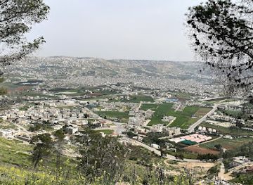 jordan/dibeen-forest/attraction/scandinavian-forest