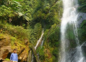 india/kaziranga-national-park/attraction/tara-aji-waterfalls