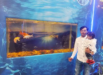 india/gujarat/attraction/indias-biggest-festival