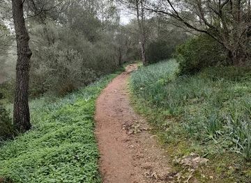 spain/palma-de-mallorca/attraction/bosc-de-bellver