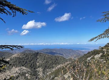 cyprus/paphos-forest/attraction/makarios-statue
