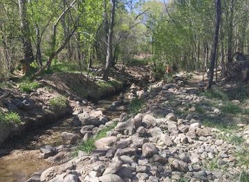 arizona/prescott-national-forest/attraction/a-c-williams-granite-creek-park