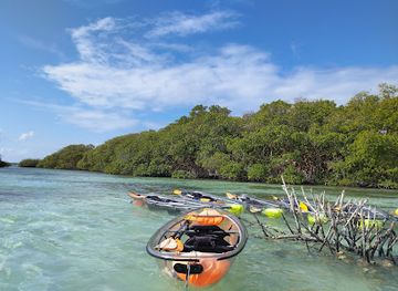 colombia/san-andres-island/attraction/ecofiwi