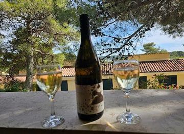 slovenia/koper/attraction/vina-bertosa