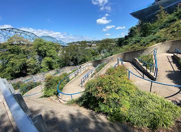 tennessee/ruby-falls/attraction/williams-stairway