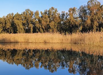 israel/herzliya/attraction/puddle