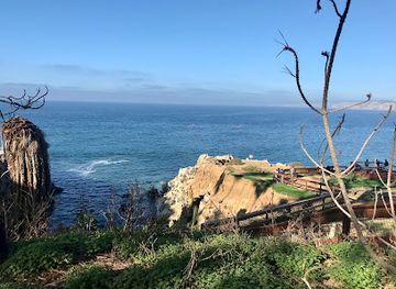 california/la-jolla/attraction/the-cave-store