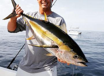 united-arab-emirates/fujairah/attraction/grandslam-charters