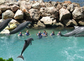 florida/fort-lauderdale-beach/attraction/dolphin-world