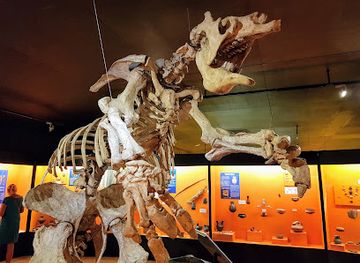 chile/o-higgins-region/attraction/colchagua-museum