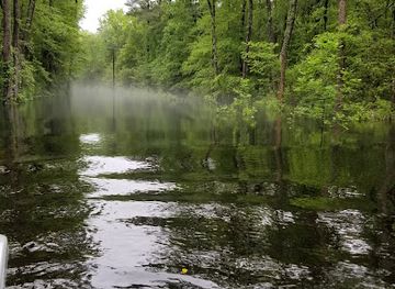 maryland/pocomoke-river-state-park/attraction/pocomoke-state-forest